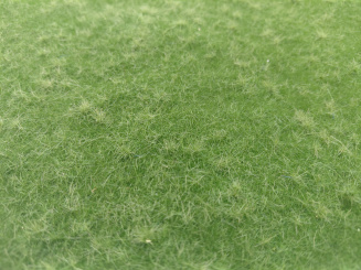 miniNatur 641-32S – Wiese hoch, Matte 17 x 26 cm, Sommer 