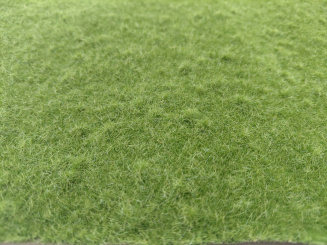 miniNatur 641-23S – Naturwiese niedrig, Matte 17 x 26 cm, Herbst 