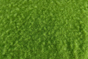 miniNatur 641-31S – Wiese hoch, Matte 17 x 26 cm, Frühling 