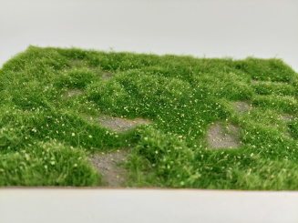 miniNatur 631-21S – Wildwuchs niedrig, Matte 17 x 26 cm, Frühling 