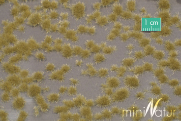 MiniNatur 717-24S – Grasbüschel kurz, Spätherbst, 8x15cm 