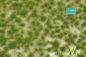 MiniNatur 727-23S – Grasbüschel lang, Frühherbst, 8x15cm 
