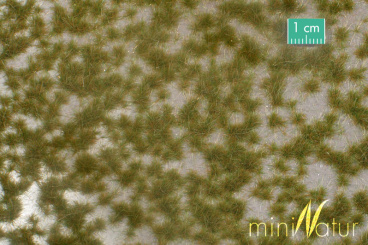 MiniNatur 737-23S – Karstbüschel Frühherbst, 8x15cm 