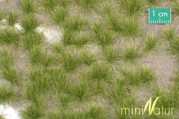 MiniNatur 727-33S – Grasbüschel lang, Frühherbst, 8x15cm 