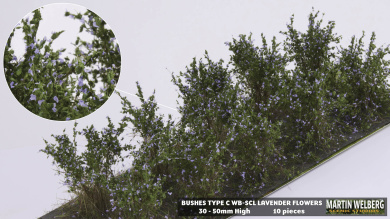 Martin Welberg Scenic Studios SCL – Lavendelsträucher Typ C 