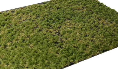 Martin Welberg Scenic Studios P223 – Geschichtete Grasbüschel Spätsommer, 2 mm 