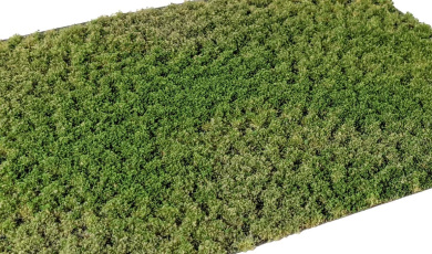Martin Welberg Scenic Studios PW223 – Geschichtete Unkrautbüschel Spätsommer, 2 mm 