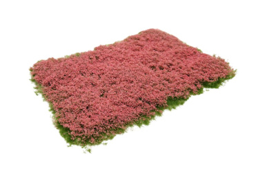 Lars op 't Hof Scenery 05.66 – Blütenbüschel rosa, 6 mm 