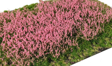 Martin Welberg Scenic Studios PP2122 – Geschichtete Grasbüschel mit pinken Blumen, 2-12 mm 