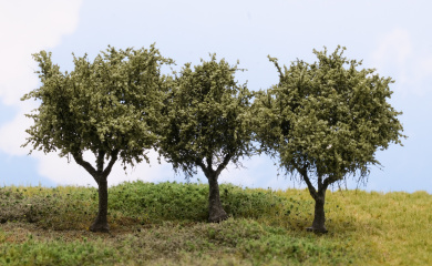 Martin Welberg Scenic Studios TSOL2 – 3 Fine Scale Bäume, Small Olive Green 2 / Olivgrün 2, ca. 6–8 cm 
