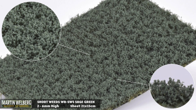 Martin Welberg Scenic Studios SWS – Kurzes Unkraut Salbeigrün, 2–6 mm, 21 × 15 cm 