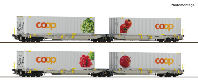 Roco 6600322 – 2-tlg. Set 1 Doppeltaschen-Gelenkwagen T2000, railCare 