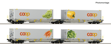 Roco 6600464 (DC) – 2-teiliges Doppeltaschen-Gelenkwagen-Set T2000 der railCare 