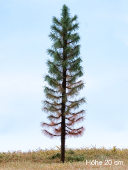 Der Modellbaum. – Fichte Wald abgestorben, Vollstamm, Sommer, dunkel, 10-60 cm 