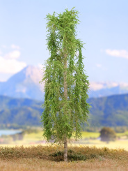 Der Modellbaum. – Birke hängend, Sommer, 10-35 cm | 