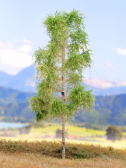 Der Modellbaum. – Birke, 1-3 stämmig, Sommer, 10-35 cm | 