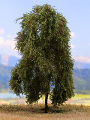 Der Modellbaum. – Weide, 1-stämmig, Sommer, 10-25 cm | 