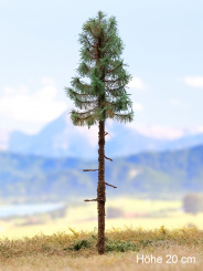 Der Modellbaum. – Fichte Solitär, Hochstamm, Sommer, dunkel, 15-60 cm | 