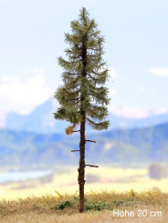 Der Modellbaum. – Fichte Solitär, Hochstamm, Sommer, hell, 15-60 cm | 