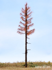 Der Modellbaum. – Fichte tot / Dürreschaden, Hochstamm, 10-60 cm 