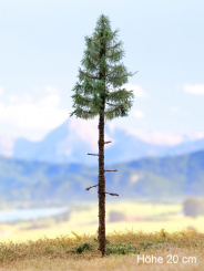 Der Modellbaum. – Fichte Wald, Hochstamm, Sommer, dunkel, 10-60 cm | 