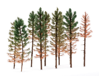 Der Modellbaum. – 10-teiliges Fichten-Set Dürre & abgestorben, Höhe 15 - 20 cm 