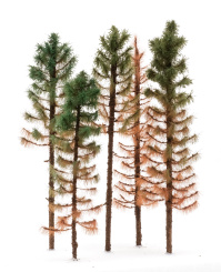 Der Modellbaum. – 5-teiliges Fichten-Set Dürre & abgestorben, Höhe 15 - 20 cm 