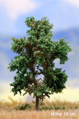 Der Modellbaum. – Erle, 2-3 stämmig, Sommer, 10-15 cm | 