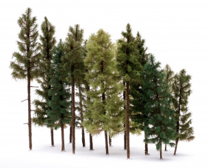 Der Modellbaum. – 15-teiliges Nadelbaum-Set, Höhe ca. 15 - 25 cm, Ausführung Wald 