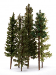 Der Modellbaum. – 7-teiliges Nadelbaum-Set, Höhe ca. 15 - 25 cm, Ausführung Wald 