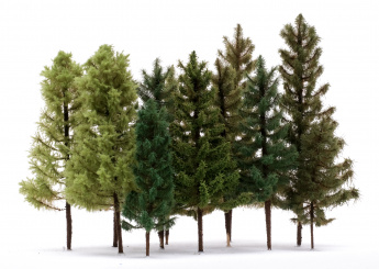 Der Modellbaum. – 12-teiliges Nadelbaum-Set, Höhe ca. 15 - 25 cm, Ausführung Solitär 