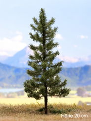 Der Modellbaum. – Fichte Solitär, Vollstamm, Sommer, hell, 15-60 cm | 