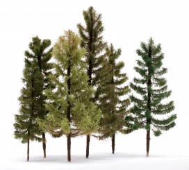 Der Modellbaum. – 6-teiliges Nadelbaum-Set, Höhe ca. 15 - 25 cm, Ausführung Solitär 