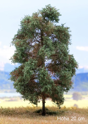 Der Modellbaum. – Eiche, 1-3 stämmig, Sommer, 10-25 cm | 