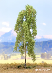 Der Modellbaum. – Birke hängend, Frühling, 10-60 cm | 