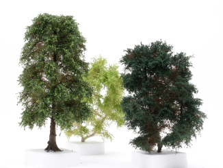 Der Modellbaum. – 3-teiliges Laubbaum-Set, Höhe ca. 20 cm 