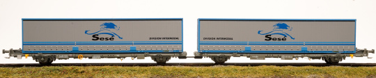 Sudexpress SURM05517 – Container-Doppelwagen Laagrss der Renfe 