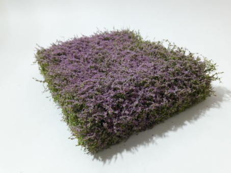 miniNatur 250-49 – Sträuchermatte blühend violett, ca. 12 x 14 cm, Höhe 2,5 cm 