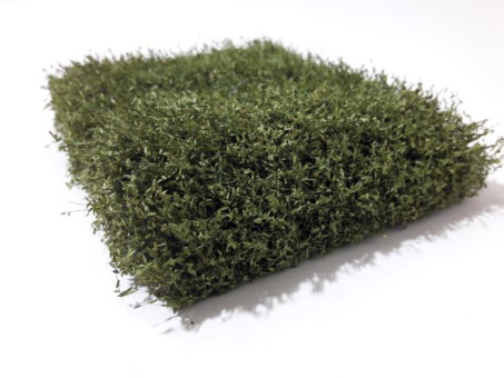 miniNatur 250-53 – Sträuchermatte Trauerweide, ca. 12 x 14 cm, Höhe 2,5 cm 