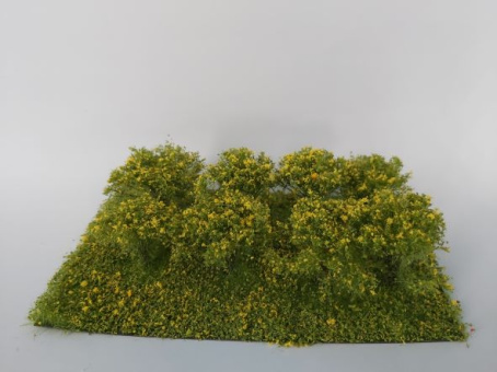 miniNatur 252-26 – Sträucher blühend gelb, Höhe 3 cm, 8 Stück 