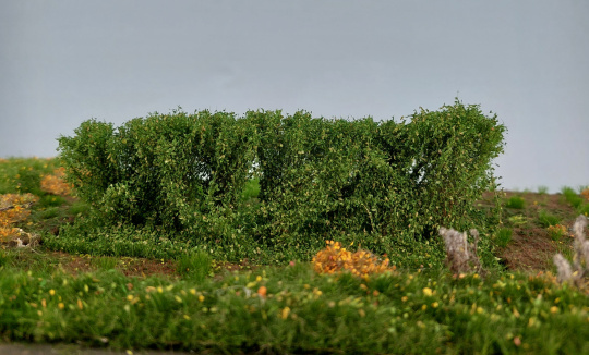 miniNatur 254-32 (H0/0) – Hecke Sommer, Höhe 4 cm 