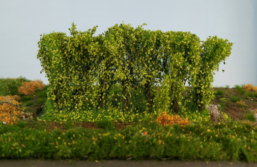 miniNatur 254-41 (0/1) – Hecke Frühling, Höhe 8-9 cm 