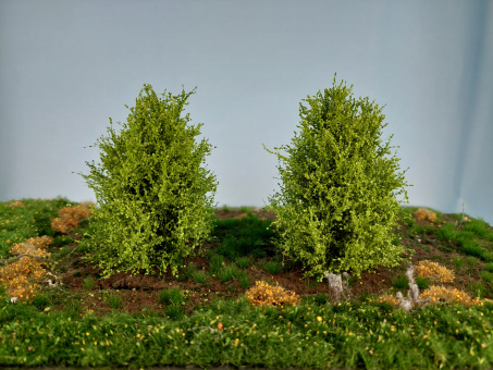 miniNatur 350-41 (0/1) – Büsche Frühling, Höhe 8-10 cm, 2 Stück 