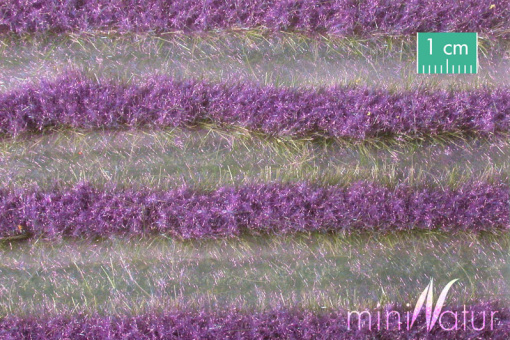 miniNatur 792-22 – Lavendelfeld Sommer, Streifen, ca. 336 cm  