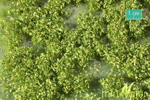 miniNatur 725-21MS – Unkrautbüschel Frühling, ca. 7,5 x 4 cm 