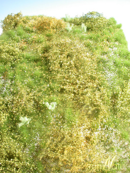 miniNatur 732-21S – Wildwuchsgebiet-Matte Frühling, ca. 25 x 15,5 cm 