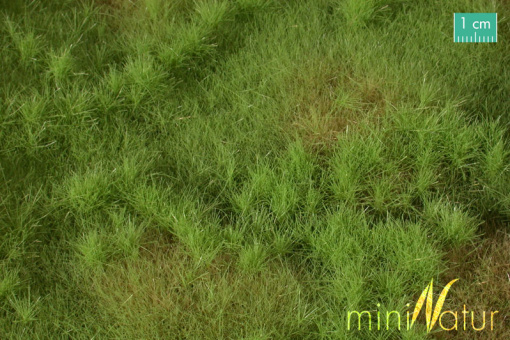 miniNatur 733-21S – Auenwiese-Matte Frühling, ca. 25 x 15,5 cm 