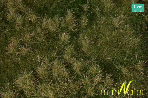 miniNatur 733-23S – Auenwiese-Matte Frühherbst, ca. 25 x 15,5 cm 