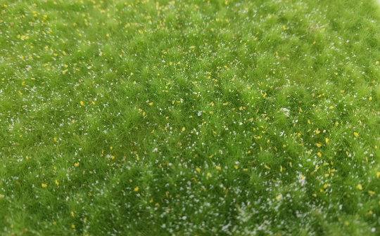 miniNatur 612-31S – Naturwiese hoch, Matte 17 x 26 cm, Frühling 