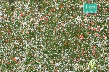 miniNatur 611-22S – Naturwiese niedrig, Matte 17 x 26 cm, Sommer 